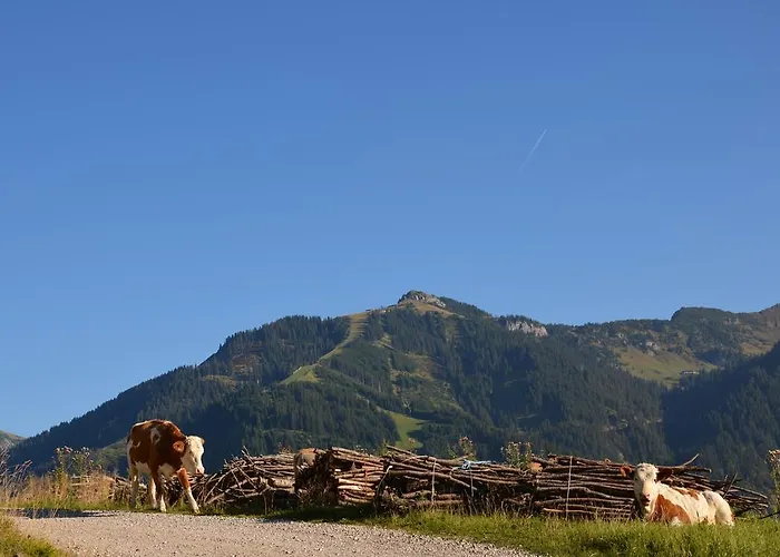Apartment Haus Sennweg Tannheim